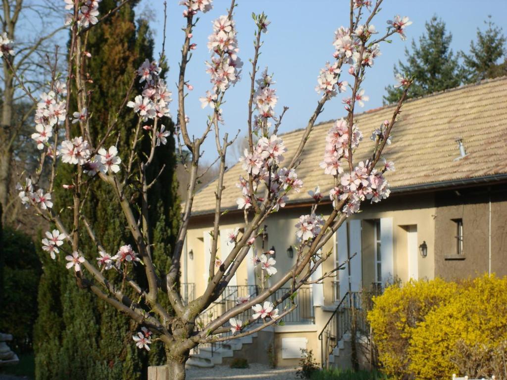 Apartamento Les Communs Du Manoir Écully Exterior foto